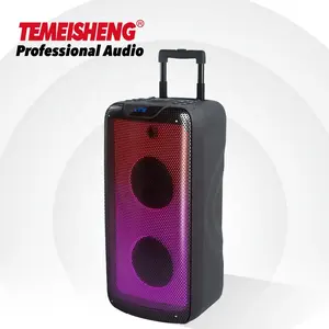 Flame light disco party speaker Mega bass subwoofer home theater surround sound system double 8 inch wireless dj party speaker