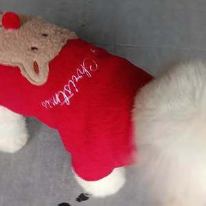 Petopia pakaian musim panas mewah kustom untuk <span class=keywords><strong>XL</strong></span> anjing Natal lucu hewan peliharaan pakaian musim dingin aneka pakaian hewan peliharaan perlengkapan pabrik - Product Image 6