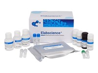 Kit ELISA pour l'EPO humaine CellaQuant