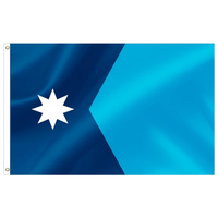 Drapeaux d'États américains en polyester 3x5FT de l'État du Massachusetts avec œillets métalliques pour fêtes, défilés, événements sportifs et décorations extérieures