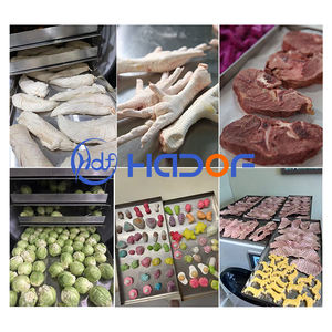 商用8Kg 15Kg 20Kg 25Kg/24時間凍結乾燥機凍結乾燥機 - Product Image 2