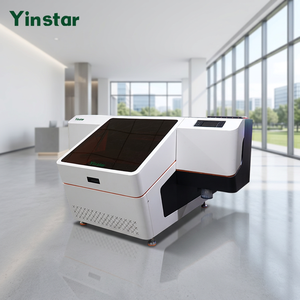 Imprimante à plat UV Yinstar 6042 à 2 têtes pour machine à jet d'encre numérique I1600-U1, alimentée par batterie, automatique, haute vitesse, prix d'usine - Product Image 2