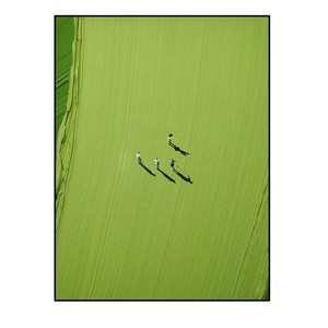 Peinture murale sur <span class=keywords><strong>toile</strong></span> texturée 100 % peinte à la main 2026, Paysage marin vert abstrait 3D, Affiche moderne faite à la main - Product Image 4