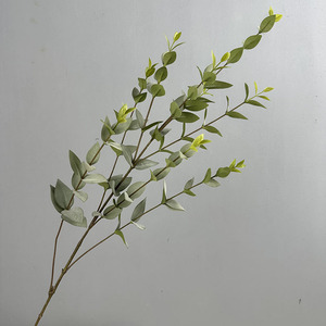 YOPIN-6063 Ramo di Eucalipto a 9 Forcelle Verde Grigio con <span class=keywords><strong>Foglie</strong></span> Appuntite Speciali e Stelo Marrone per Composizioni Floreali Nuziali - Product Image 2