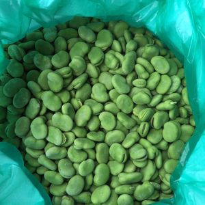 Habas Congeladas Peladas de Cosecha Nueva, Certificadas Halal, Precio Competitivo, Vegetales Congelados Frescos, Habas IQF - Product Image 5