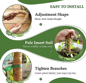 Ausziehbarer Pflanzen blumen ständer Trade Assurance Moss Pole Coco Pole - Product Image 4