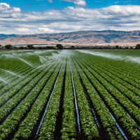 Tuyaux d'irrigation flexibles noirs en PEHD, vente directe usine, tubes d'eau potable en PE pour l'agriculture et les exploitations agricoles