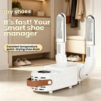 Séchoir à chaussures électrique portable, machine de désodorisation pour baskets, bottes, gants et chaussures de tous les jours