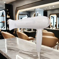 Sèche-cheveux Salon professionnel Sèche-cheveux haute puissance Moteur 2000W AC avec boucle de suspension/concentrateur/2 diffuseurs pour voyage/maison