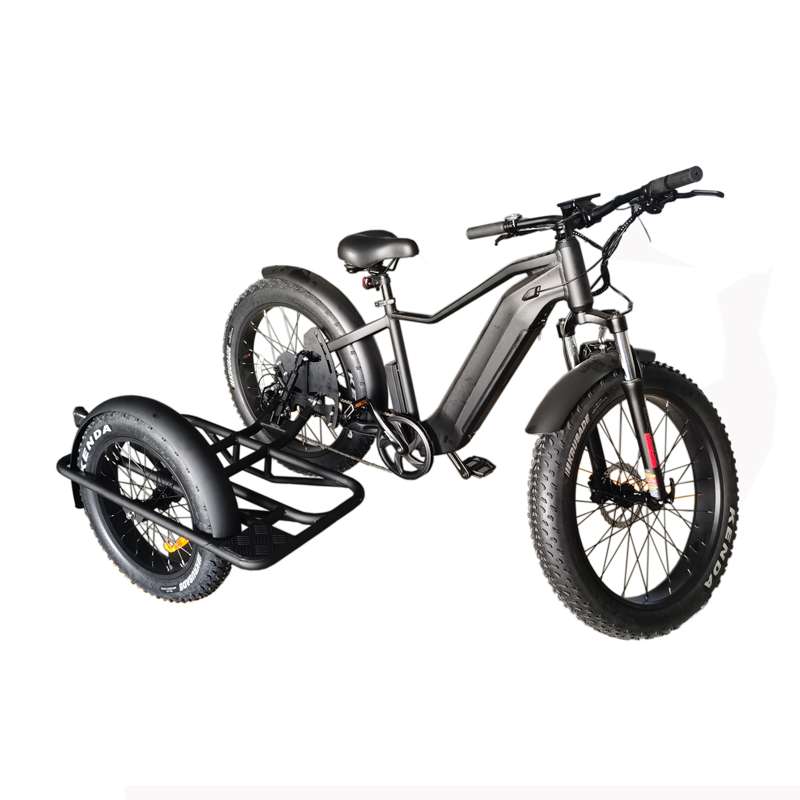 Ebike avec cadre