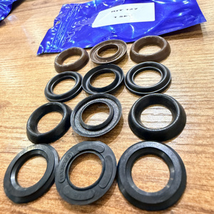 Pompe à piston haute pression TRS-Inter Pump WS201 250 bars 15 L/min avec joints d'étanchéité pour kits 69, 28, 88 et 127 (total) - Product Image 5