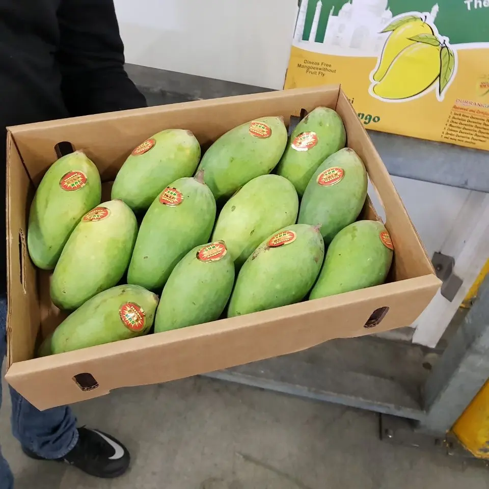 ताजा मैंगो भारत फल निर्यात-लदान के लिए तैयार करने के लिए चीन-सिंगापुर-मलेशिया/थाई आम वियतनाम dok माई उष्णकटिबंधीय ताजा फल