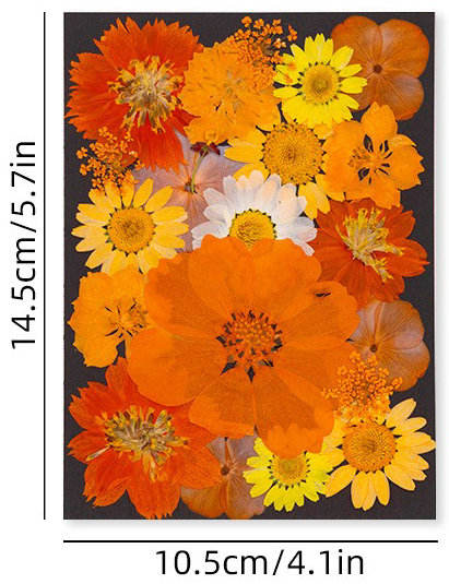 MH712 Orange 23 pièces