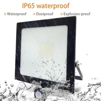 Reflector LED para Parques Temáticos, Impermeable IP65, Encendido/Apagado Automático al Anochecer/Amanecer, 10W-50W, CRI80, Ángulo de Haz de 120°, AC85-265V, Sensor de Movimiento, Certificado CE RoHS
