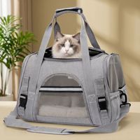 Sac à dos de transport pour animaux de compagnie en maille respirante pliable et portable en EVA pour chats et petits chiens, idéal pour les sorties, les voyages et les trajets en voiture