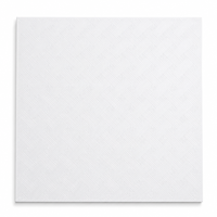 Panneaux acoustiques PVC 12 mm insonorisants pour cloisons sèches, panneaux muraux et de plafond haute densité, ignifuges, étanches, pour hôtels