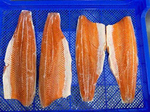 Filete de <span class=keywords><strong>trucha</strong></span> de salmón ahumado de origen chino, <span class=keywords><strong>precio</strong></span> competitivo congelado de alta calidad - Product Image 2