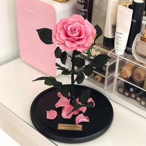Rose Eterne Preservate Incantate in Cupola di Vetro con LED - Product Image 3