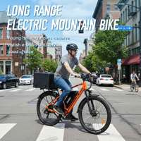 Vélo électrique Chamrider DM427 en gros avec pédales, moteur brushless 750W, batterie 48V 27Ah, freins à disque hydrauliques, autonomie 150 km
