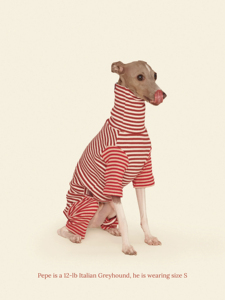 Roupas para Cães Pequenos e Greyhounds, Novo Modelo Fofo de Algodão para Primavera, Camisetas de Manga Longa |   Roupas Personalizadas de Alta Qualidade por Atacado - Product Image 3