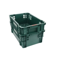 Bac de rangement pliable hygiénique en plastique HDPE pour fruits et légumes, couleur personnalisée, motif champignon et myrtille