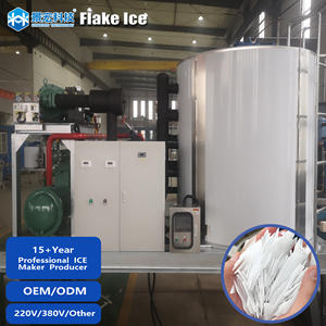 Machine à glaçons industrielle à haute productivité et à économie d'énergie, homologuée CE, avec moteur de marque réputée, à vendre sur le marché sud-américain - Product Image 1