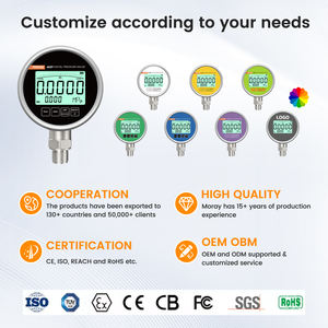मोरे मे460p श्रृंखला ओबाइट गंध आईपी 65 lcd 5-अंकों का प्रदर्शन उद्योग वायरलेस माप मैनोमीटर डिजिटल वैक्यूम गेज - Product Image 5