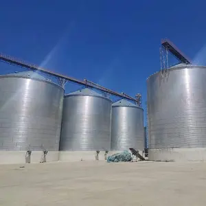 Kapasitas besar 10000ton penyimpanan biji baja Silo baja tahan karat atas Silo gandum