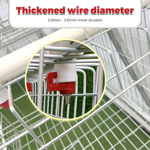 Sıcak satış a tipi 10000 kuşlar 3/4 katlı tavuk kafesi katmanlar kümes hayvancılığı döşeme tavuk kafesi kanatlı tavuk tabakası - Product Image 3