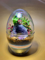 Vase en verre transparent en forme d'œuf moderne pour plantes succulentes et mousse, décoration de table