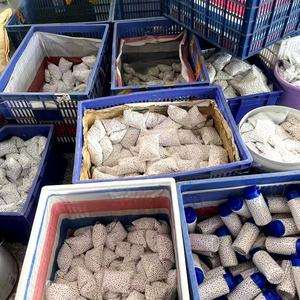 Billes en plastique dur à faible coût de 5,95 mm, lestées de 0,2 g, 0,25 g, 0,3 g, en POM - Product Image 5