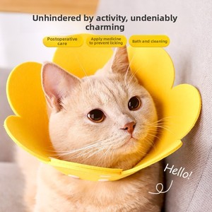 Collier de Stérilisation Anti-Léchage Elizabeth pour <span class=keywords><strong>Chat</strong></span>, Taille Ajustable, pour Chats British Shorthair et Chiens, Fournitures pour Animaux de Compagnie - Product Image 2