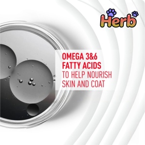 Odm/OEM nhãn hiệu riêng mềm nhai chó bổ sung tự nhiên hấp thụ nhanh hỗ trợ miễn dịch dầu cá nhạy cảm tiêu hóa sức khỏe - Product Image 3