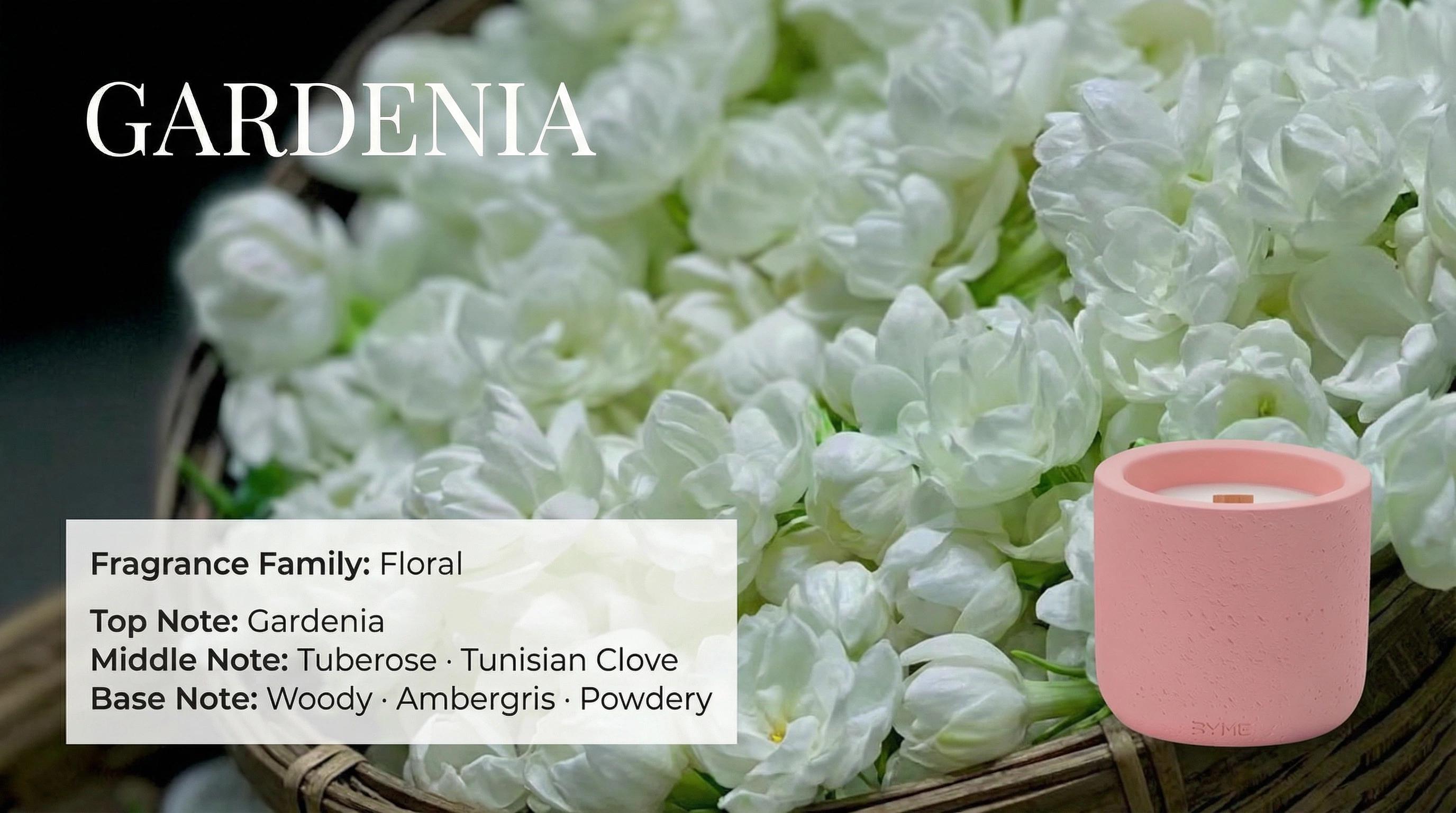 Gardenia