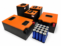 Batteries liquides personnalisées Delong 48V Série 15Ah-80Ah Rechargeables LFP4850 4000 Cycles OEM