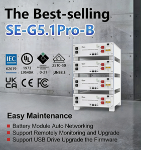 Deye SE-G5.1แบตเตอรี่ลิเธียม Pro-B 51.2V 5kwh 100AH แรงดันไฟฟ้าต่ำที่เก็บพลังงานในบ้าน Lifepo4ไอออน48V deye - Product Image 6
