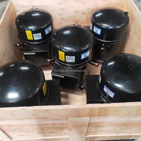 Compresor de Refrigeración de Pistón Bristol H2NG294DPEF H2NG294DBEF para Aire Acondicionado