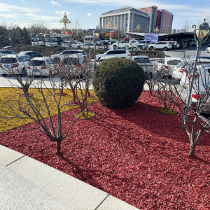 Décoration <span class=keywords><strong>de</strong></span> <span class=keywords><strong>jardin</strong></span> moderne et colorée, <span class=keywords><strong>copeaux</strong></span> <span class=keywords><strong>de</strong></span> <span class=keywords><strong>bois</strong></span> organiques, fibres, aménagement paysager <span class=keywords><strong>de</strong></span> cour, paillis <span class=keywords><strong>de</strong></span> fibres <span class=keywords><strong>de</strong></span> <span class=keywords><strong>bois</strong></span> pour l'embellissement - Product Image 2