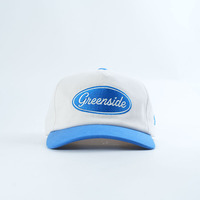 Gorras de Perfil Bajo con Visera Ligeramente Curvada, Diseño Personalizado OEM de Alta Calidad, 5 Paneles, con Logotipo Bordado Plano