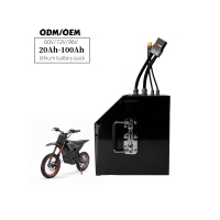 Pack de batteries au lithium 20S8P 72V40AH 200AMP avec BMS Bluetooth ANT, cathode LiCoO2, 500 cycles, boîtier métallique pour Crazy Cart