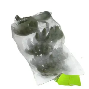Agriculture fruit protection bags Nonwoven Fabric Banana Bag Fruit Bag