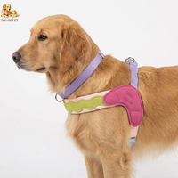 Harnais pour chien OEM personnalisé, tendance, écologique, anti-traction, réglable, avec gilet réfléchissant, rembourrage doux, sangle de poitrine facile pour animaux de compagnie et attaches de laisse