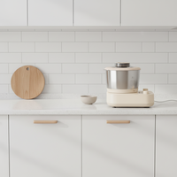 Mini robot culinaire électrique Mélangeur de pâte de cuisine domestique Pétrir la machine à pâte