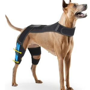 Genouillère de soutien pour chien, équipement de protection pour animaux de compagnie, ceinture de rééducation pour déchirure des ligaments articulaires, produit phare - Product Image 1