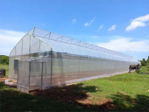 Invernaderos Agrícolas Dentados de Bajo Costo y Fácil Montaje con Estructura de Acero y Sistema de Ventilación para Cultivo de Plantas - Product Image 3