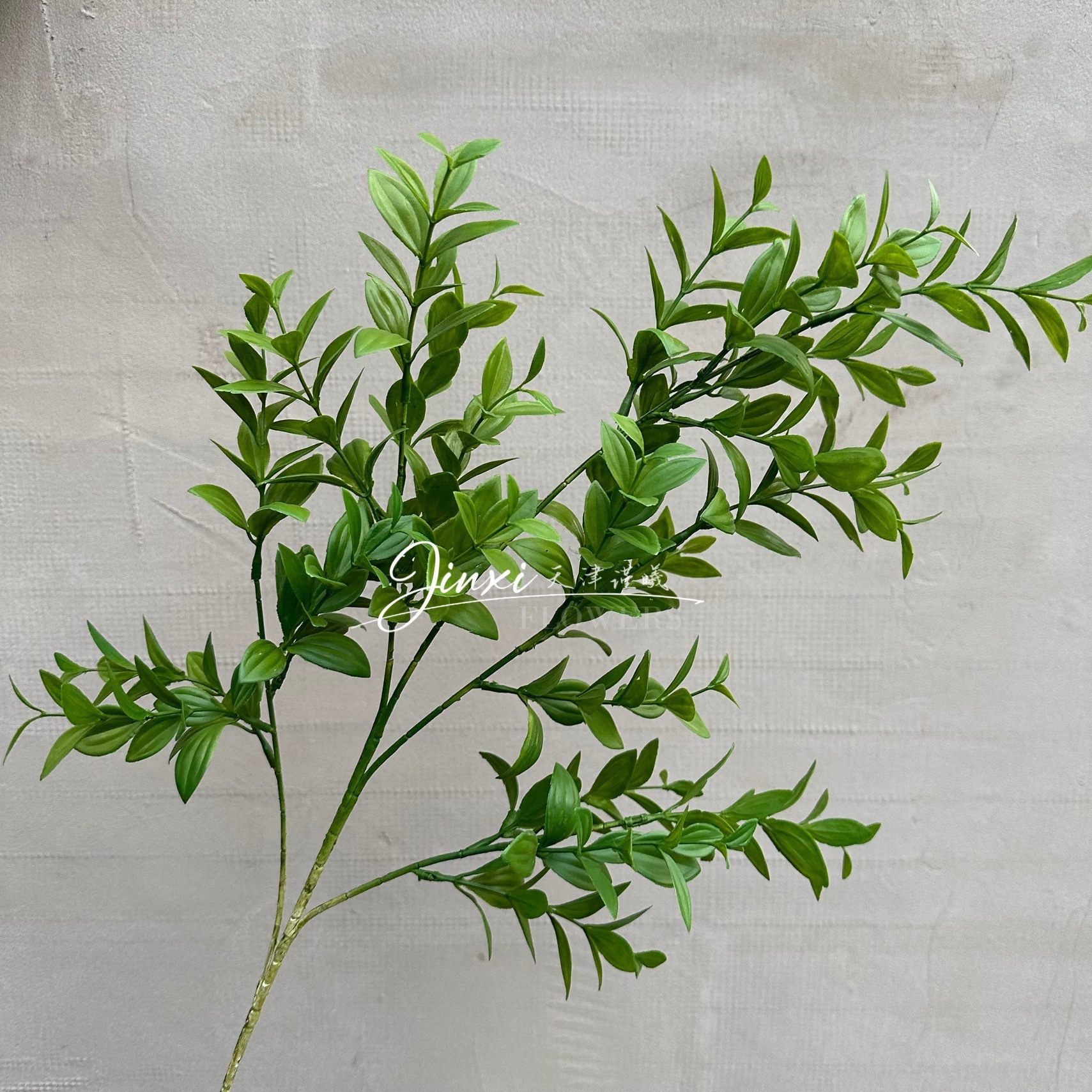 Feuilles de menthe 80cm