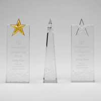 Trophée en cristal gravé sur mesure avec étoile métallique, plaque de récompense en verre transparent personnalisée pour la cérémonie annuelle d'entreprise, souvenir