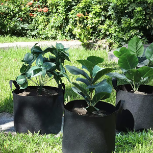 Sacs de culture <span class=keywords><strong>en</strong></span> tissu respirant de 20 gallons, lot de 5 - Pots pliables portables, gain de place pour les tentes de culture, les légumes, les fruits et les arbres - Product Image 6