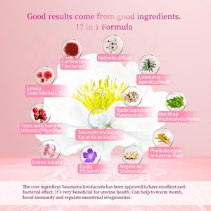 Prof.Ding OEM per il controllo degli odori a base di erbe 10 cuscinetti/borsa Max strato erbaceo assorbente per pulizia della Vagina in cotone - Product Image 2