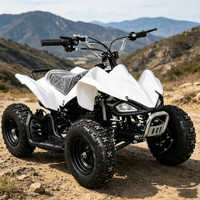 Minimoto de Cuatro Ruedas de Larga Distancia con Freno de Disco Único y Transmisión Automática por Cadena